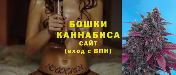 ПСИЛОЦИБИНОВЫЕ ГРИБЫ Дмитров