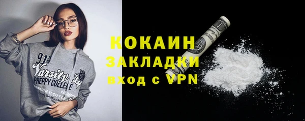 ПСИЛОЦИБИНОВЫЕ ГРИБЫ Дмитров