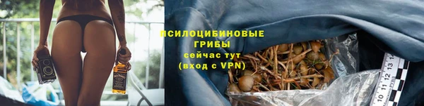 кокаин премиум Дмитриев