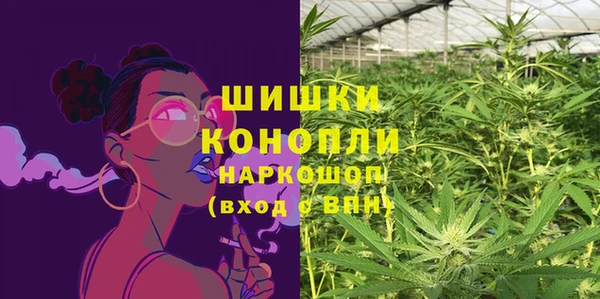 ПСИЛОЦИБИНОВЫЕ ГРИБЫ Дмитров