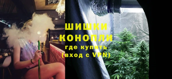 ПСИЛОЦИБИНОВЫЕ ГРИБЫ Дмитров