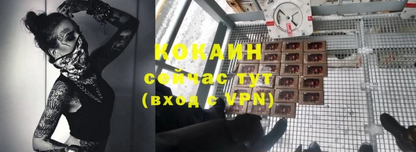 ПСИЛОЦИБИНОВЫЕ ГРИБЫ Дмитров