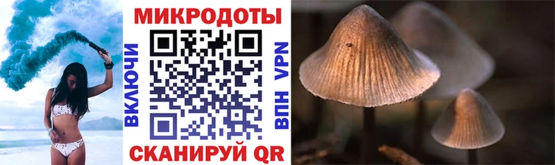 Псилоцибиновые грибы ЛСД  Купить  Каменск-Шахтинский 